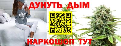 дмт Пенза